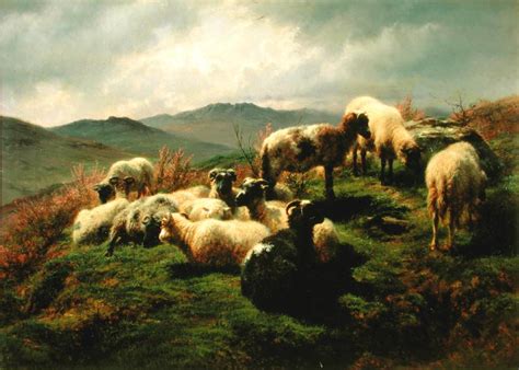 Sheep in the Highlands 1856 Painting | Rosa Bonheur Oil Paintings