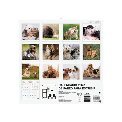 Calendario Pared X X Im Genes Perros Y Gatos Finocam