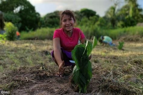 FAO in Emergencies on Twitter Grâce au généreux financement de