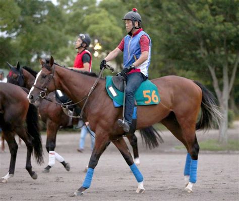 【pog】良血馬ヴォウジラールが躍動！優秀な血統の素質に期待競馬・レースデイリースポーツ Online