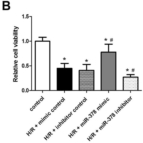 MiR 378 Protects Against Injury In NRK52E Cells Subjected To H R A