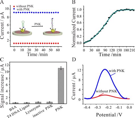 A Swv Peak Currents Of The Mos Aunp Based E Dna Sensor Under