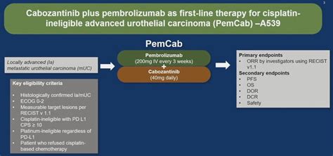 ASCO GU 2024 Advanced Urothelial Carcinoma Discussant