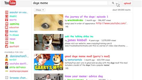 Doge Memes: A Complete History of Shiba Inu-Inspired Memes