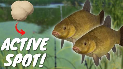 ACTIVE TENCH SPOT IN OLDBURG LAKE 455 Russian Fishing 4 YouTube