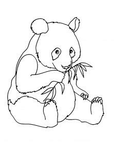 Panda Coloring pages for kids (Free PDF printables)