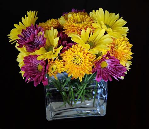 "Chrysanthemum Bouquet" by virgomerry | Redbubble