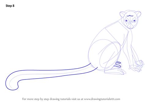 Step By Step How To Draw A Ring Tailed Lemur