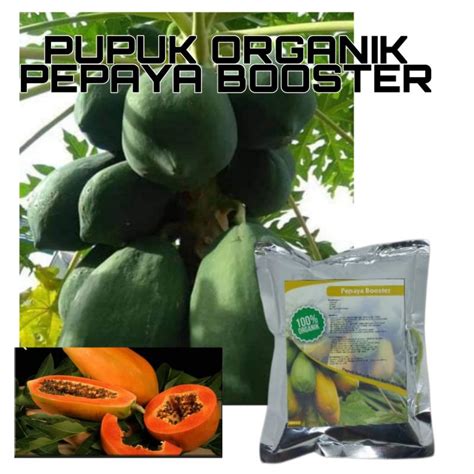 Jual PUPUK ORGANIK PEPAYA BOOSTER PELEBAT BUAH PENYUBUR TANAMAN PEPAYA