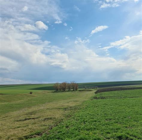 Um campo céu azul e nuvens Foto Premium