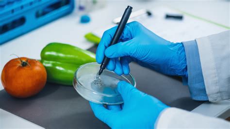 Tudo Sobre A Microbiologia Em Alimentos Semear