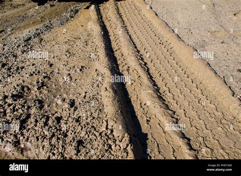 Tire Tracks In The Mud Vehicle Tracks Imprinted Into Wet Dirt And Sand