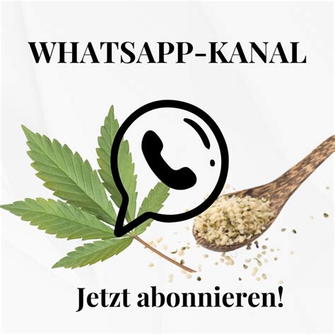 Whatsapp Kanal F R Infos Und Inspirationen Rund Um Das Superfood