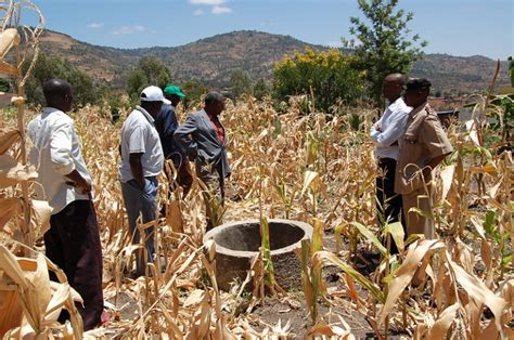 3 Ngos Fighting The Water Crisis In Eswatini The Borgen Project