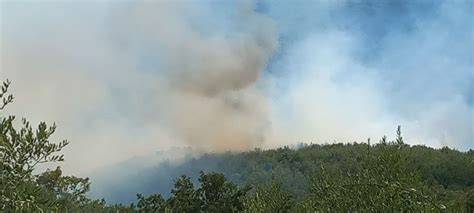 Grande Incendio A Laterina Canadair Elicotteri E Una Quindicina Sr