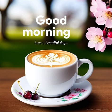 100 New Beautiful Good Morning Images Wishes 2023