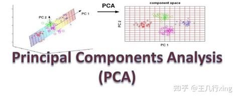 Python 机器学习PCA 主成份分析快速降维 探索性画图 聚类建模 知乎