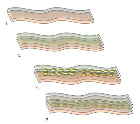 Schematic Of The Solar Cell Fabrication Process A Bottom Electrode