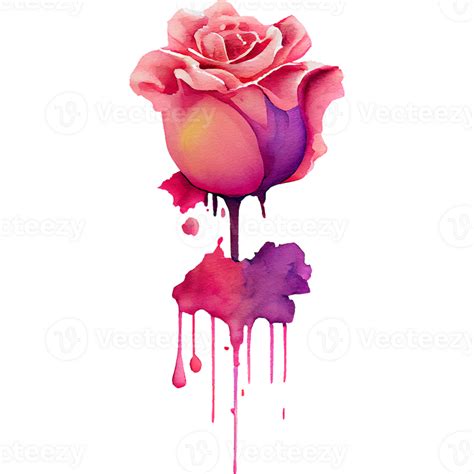 Colorful Roses Watercolor Clipart 23476726 Png