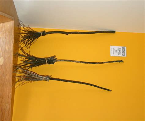 broomstick halloween costumes