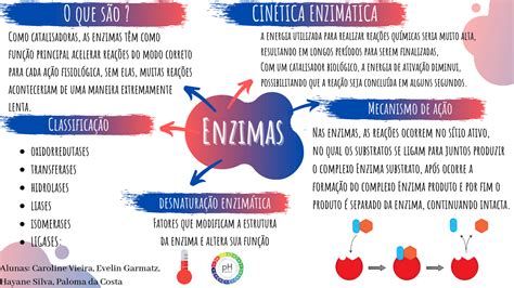 Mapa Conceitual Enzimas Docsity