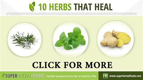 10 Powerful Healing Herbs