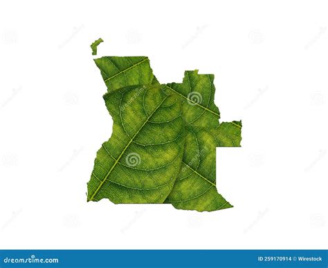 Mapa Angola Feito De Folhas Verdes Conceito Ecologia Mapa Folha Verde