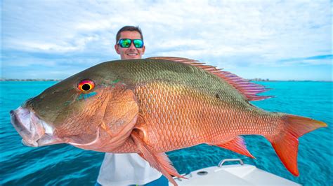 The Secret To Catching Giant Snapper Catch Clean Cook Mutton