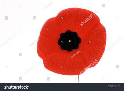Remembrance Day Poppy Pin Stock Photo 20054134 Shutterstock