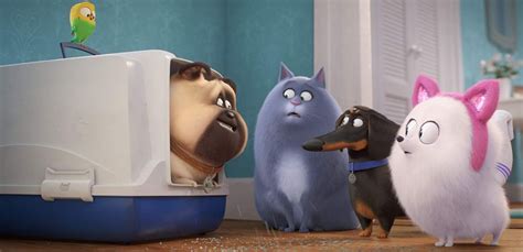 The Secret Life Of Pets 2 Movie Review Fun And Pretty