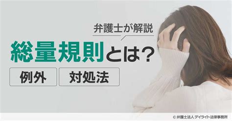 総量規制とは？例外や対処法を弁護士が解説 債務整理に強い弁護士による無料相談【デイライト法律事務所】