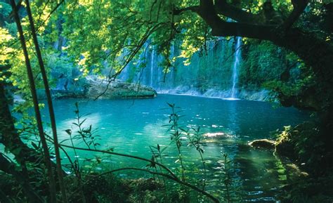 Tropical Waterfall Lagoon Forest Wall Paper Mural Buy At Europosters