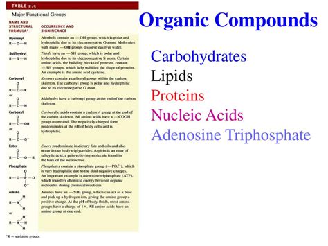 The Chemical Level Of Organization Ppt Download