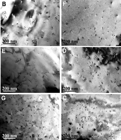 Plan View Bright Field TEM Images Along 0001 Under 2 Beam Conditions