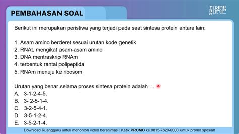 Gambar Urutan Proses Sintesis Protein 58 Koleksi Gambar