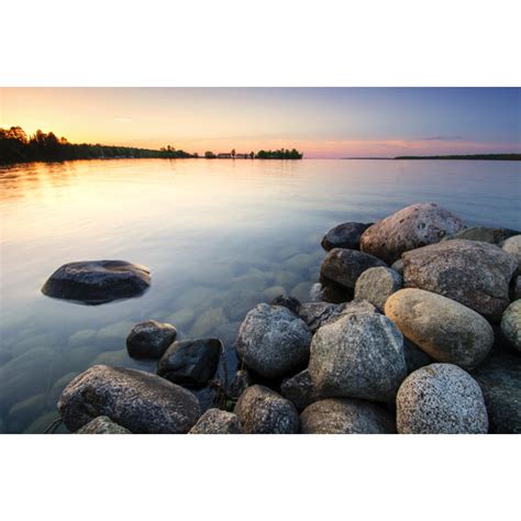 Millwood Pines Lake Shore Minnesota Usa By 7Michael Wrapped Canvas