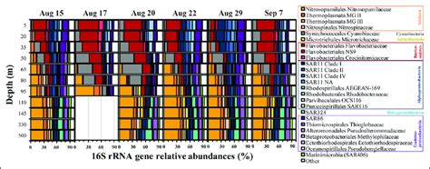 Relative Abundances Of S Rrna Gene Amplicon Sequence Variant Data