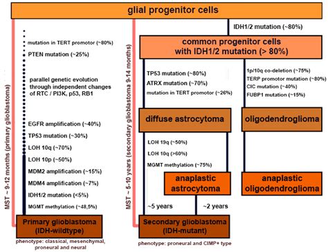 Cells Free Full Text Current And Future Trends On Diagnosis And