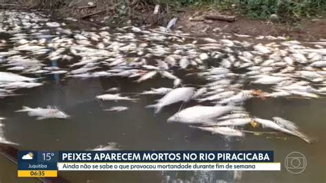 Vídeo Peixes aparecem mortos no rio Piracicaba Bom dia SP G1