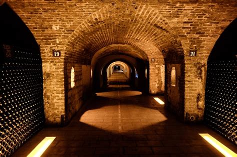 История шампанского: 7 интересных фактов | Вокруг Света