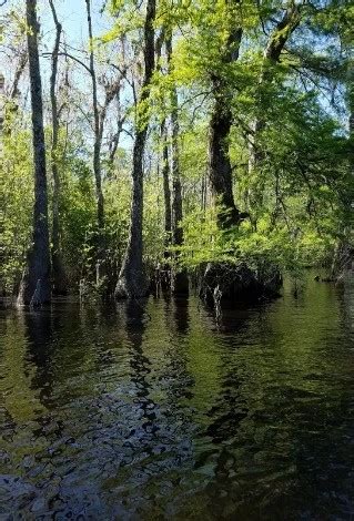 Waccamaw Wildlife Refuge - Go Wandering