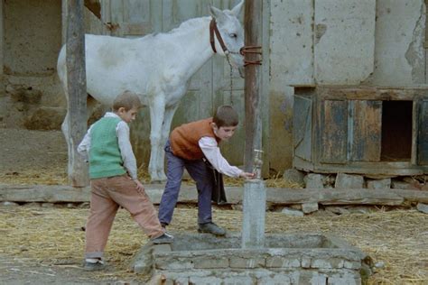 Copa do Mundo de Filmes Onde Fica a Casa do Meu Amigo Irã Por