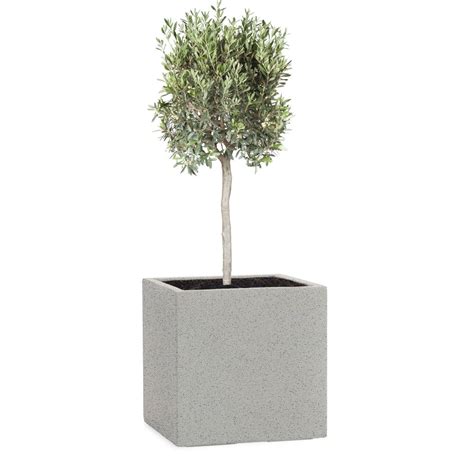 Fiberglas Pflanztrog Topf Cube In X X Cm Granit Grau