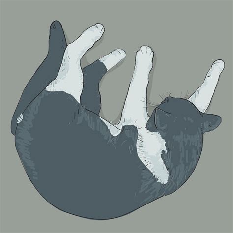 Premium Vector Sleeping Cat Vector Illustration