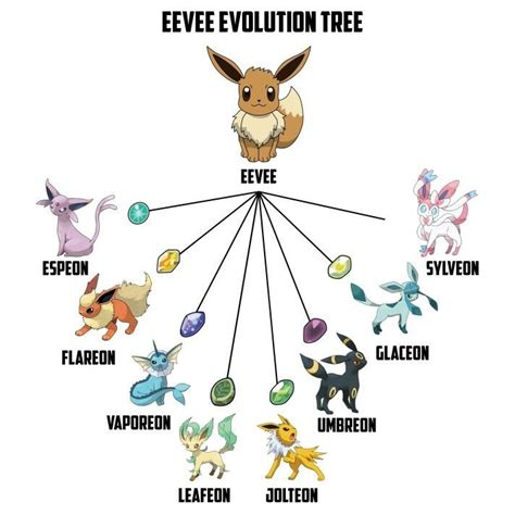 Pokemon Eevee Evolutions Discover The Evolution Tree