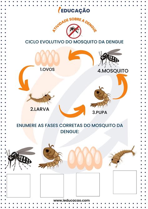 Atividades sobre a Dengue para Educação Infantil