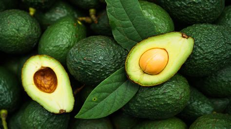 hass  fuerte avocados whats  difference
