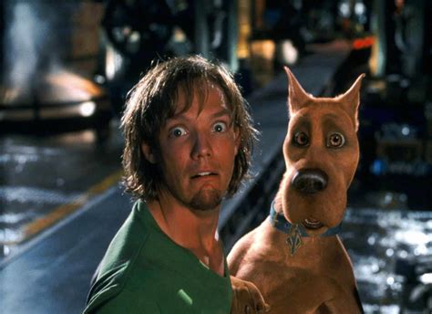 Fan Theory Suggests Scooby-Doo's Shaggy Is Steve Rogers' Son. Zoinks!