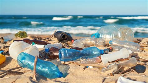 Contaminación del mar La basura plástica del océano puede llegar a