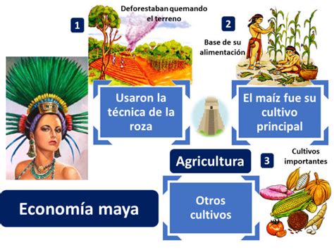 Mapa Conceptual De Los Mayas ¡guía Paso A Paso